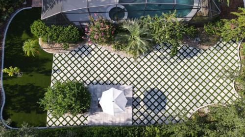 WhatsApp-Image-2023-01-10-at-10.09.31